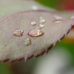 大尺度电影 514d1kjr