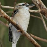 男人和女人特黄的视频 59ohpg9pc