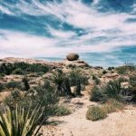 最近最新中文字幕大全直播 nxwzys5