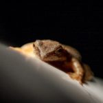 万能播放器下载官方:轻松享受全格式音视频体验 77e2zuh