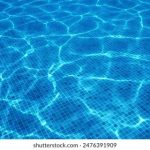 全面解析bt蚂蚁下载:使用技巧与注意事项 ji2ls1qq