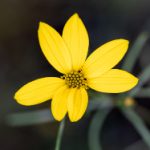 探索JM漫画平台:畅享海量漫画资源与精彩内容 xzd6y