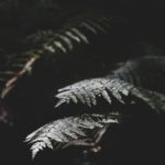 探索最佳资源搜索引擎:磁力宝的使用技巧与优势 zgdj6